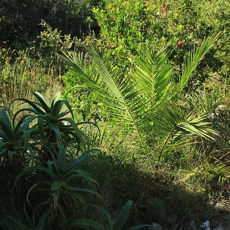 Дом отдыха Seaside House Cove Parja, - 8892 Вис